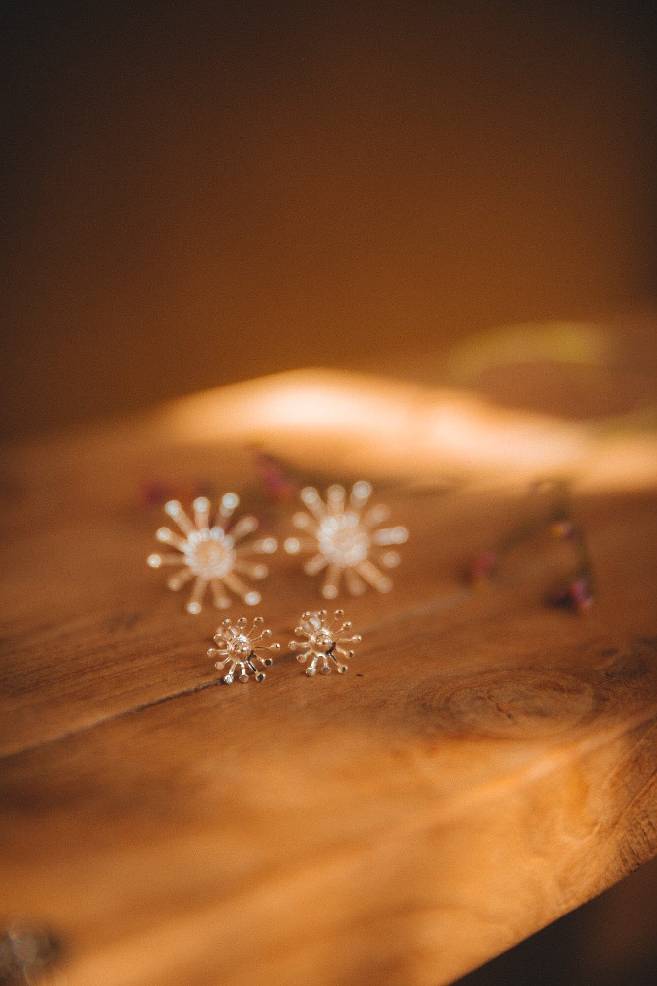 Boucles d'Oreilles Puces Rhéa Argent Flocons Boucles d'Oreilles Monsieur Simone