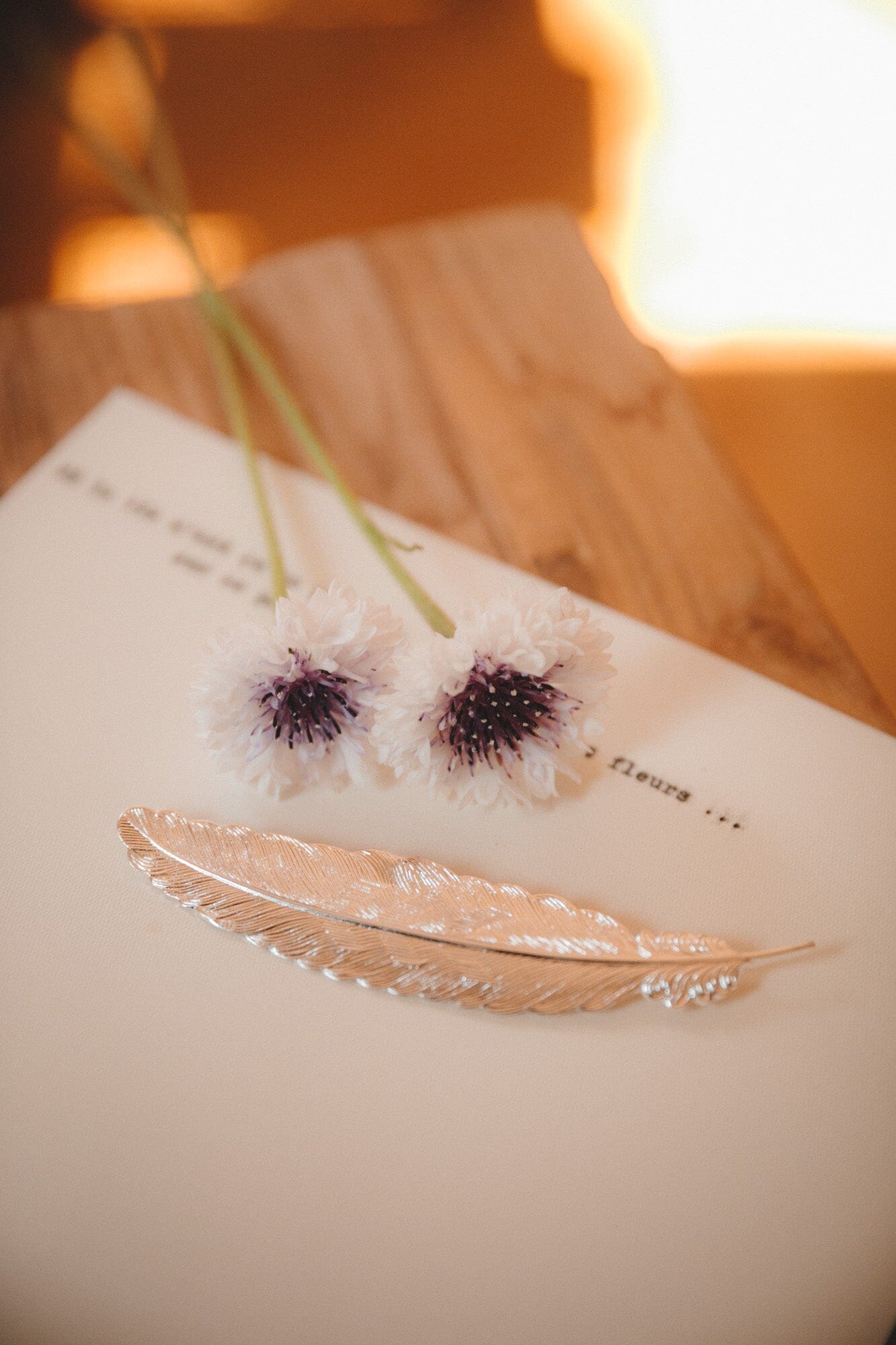 Broche Phébé Argent Plume Accessoires Monsieur Simone