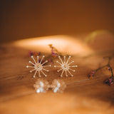 Maxi Boucles d'Oreilles Puces Rhéa Argent Flocons Boucles d'Oreilles Monsieur Simone