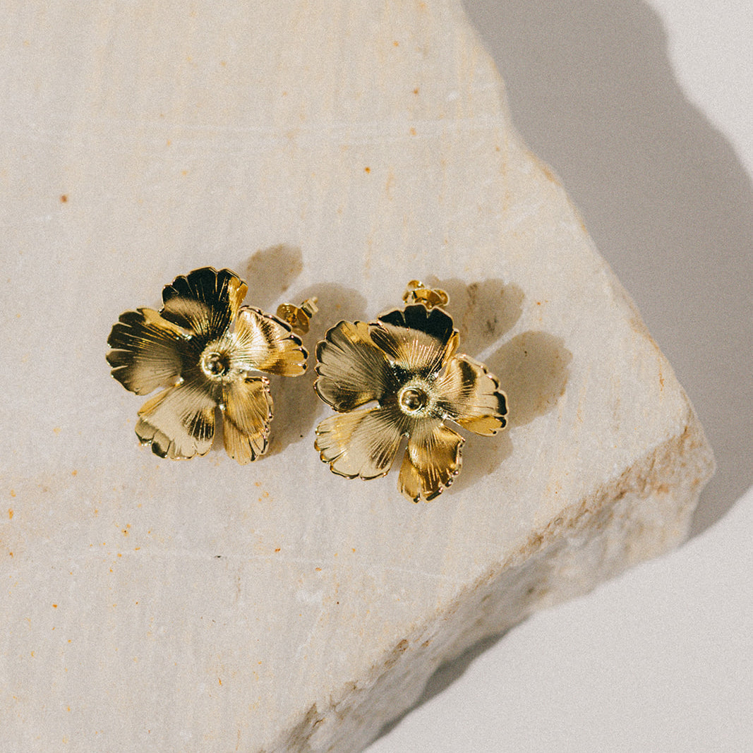 Image de diapositive