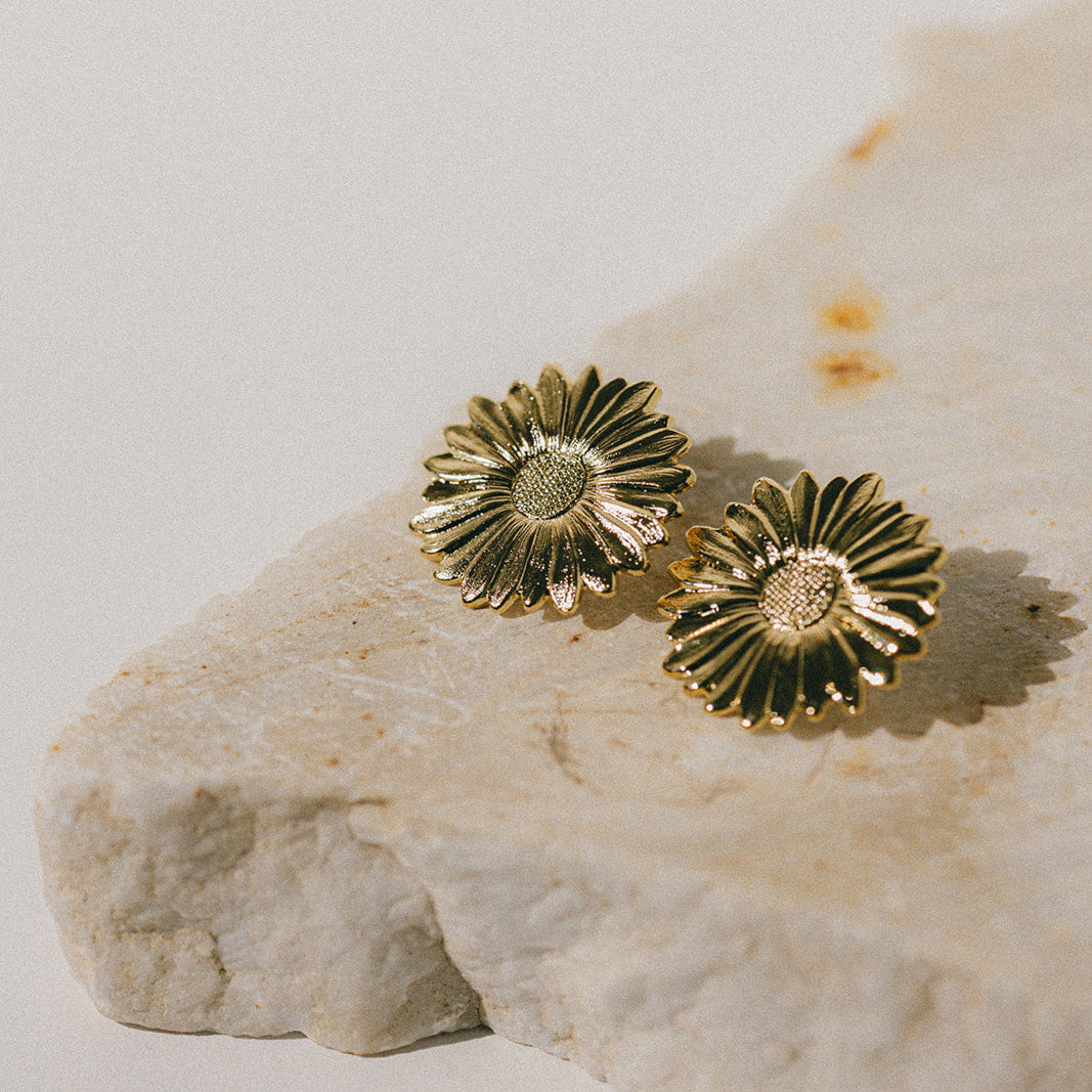 Image de diapositive