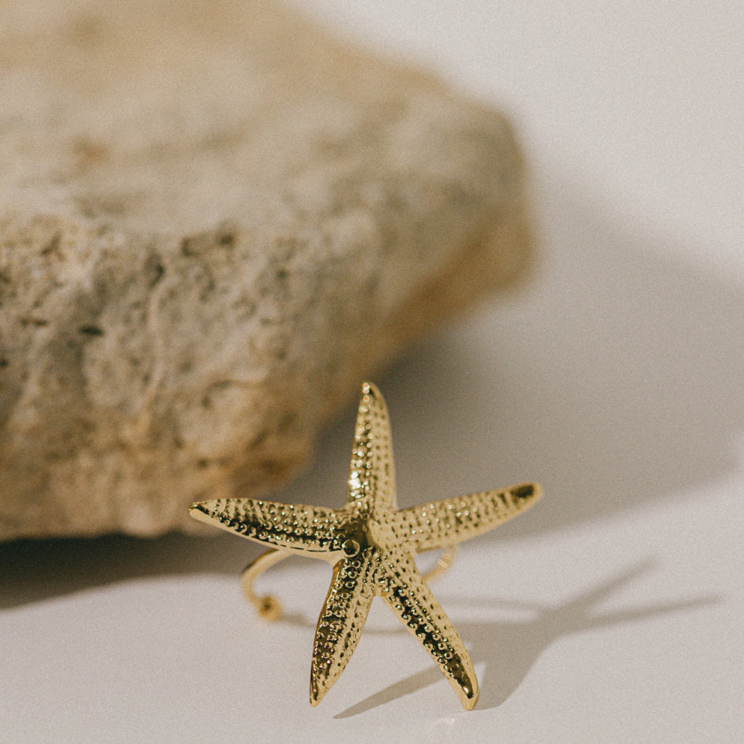 Image de diapositive