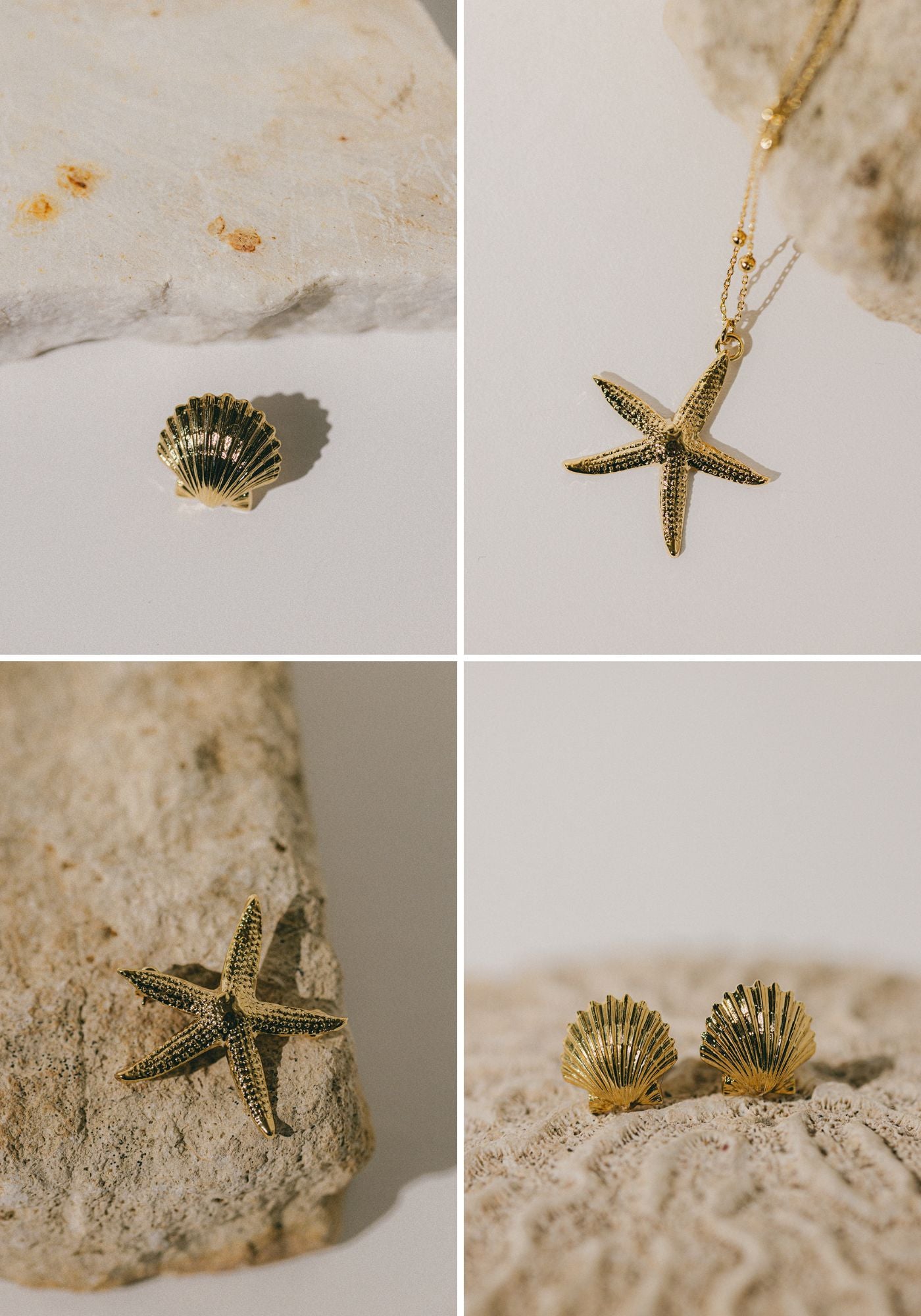 Image de diapositive