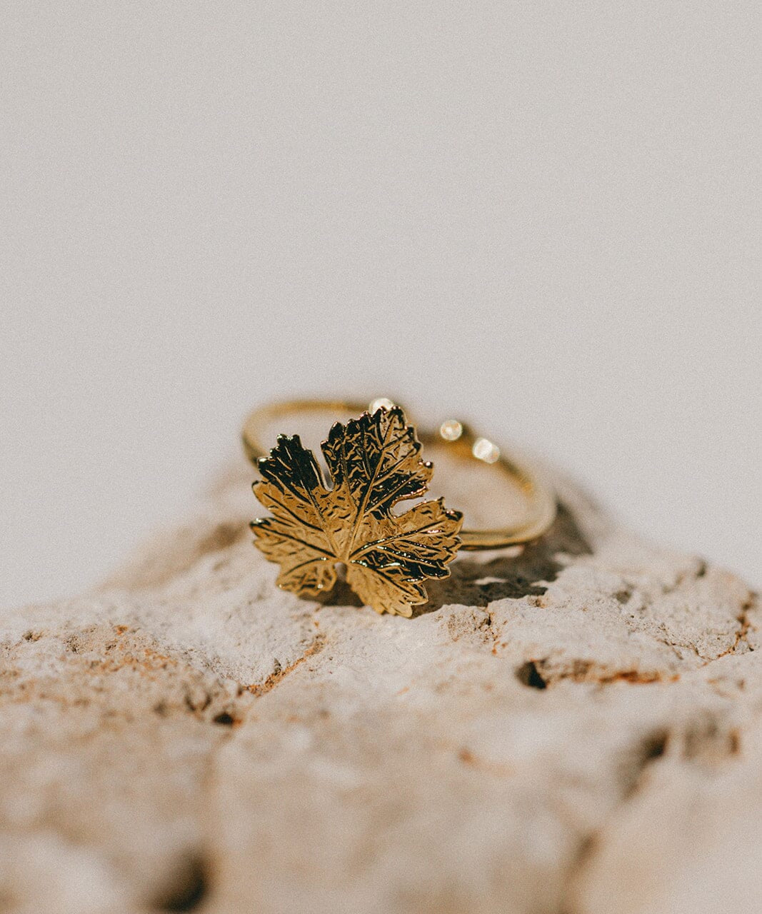 Bague Héra Or Feuille Ajustable Bagues Monsieur Simone