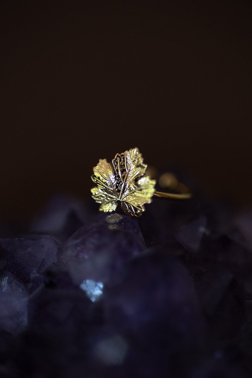 Bague Héra Or Feuille Ajustable Bagues Monsieur Simone