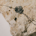 Bracelet Héra Argent Feuille Bracelets Monsieur Simone