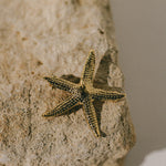 Broche Cléia Or Étoile Accessoires Monsieur Simone