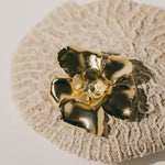 Broche Orphée Or Fleurs Accessoires Monsieur Simone