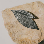 Broche Thalie Argent Feuilles Accessoires Monsieur Simone