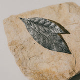 Broche Thalie Argent Feuilles Accessoires Monsieur Simone