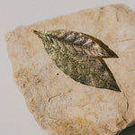 Broche Thalie Or Feuilles Accessoires Monsieur Simone