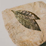 Broche Thalie Or Feuilles Accessoires Monsieur Simone