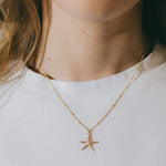 Collier Cléia Or Étoile Colliers Monsieur Simone