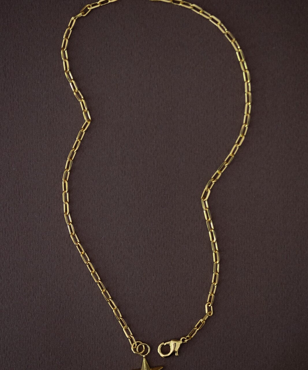 Maxi Collier Raoul Or Étoile Colliers Monsieur Simone
