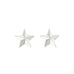 Mini Boucles d'Oreilles Puces Raoul Argent Étoiles Boucles d'oreilles Monsieur Simone