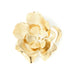 Broche Orphée Or Fleurs Accessoires Monsieur Simone