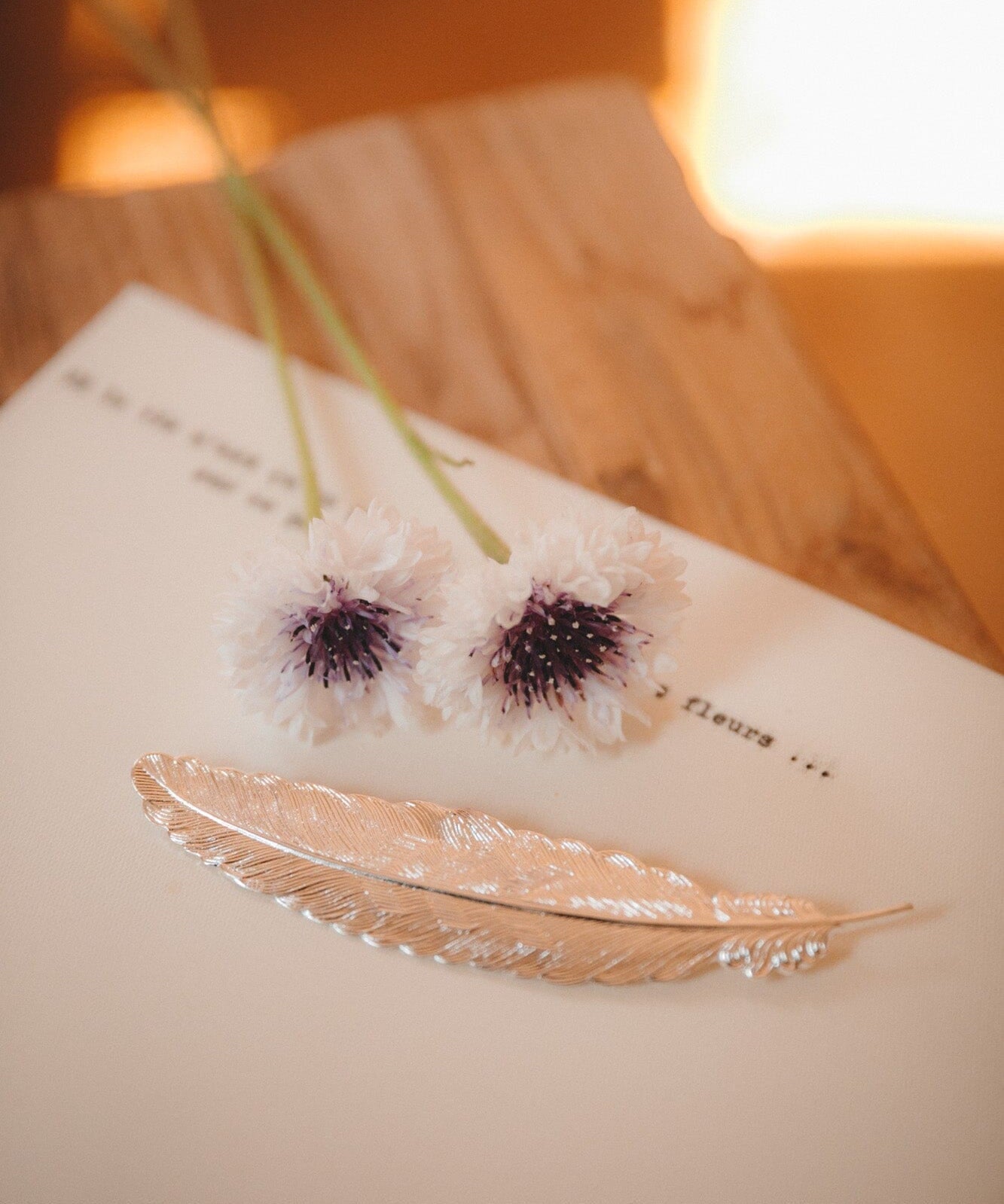 Broche Phébé Argent Plume Accessoires Monsieur Simone