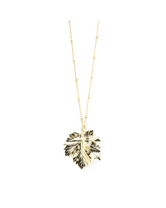 Collier Héra Or Feuille Colliers Monsieur Simone