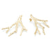 Maxi Boucles d'Oreilles Puces Pallas Or Corail Boucles d'Oreilles Monsieur Simone